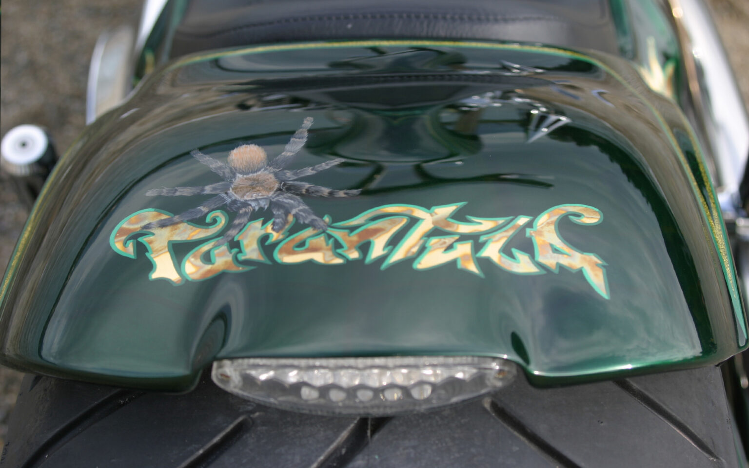 Tarantula Bike TARANTULA – Erbacher Bikes