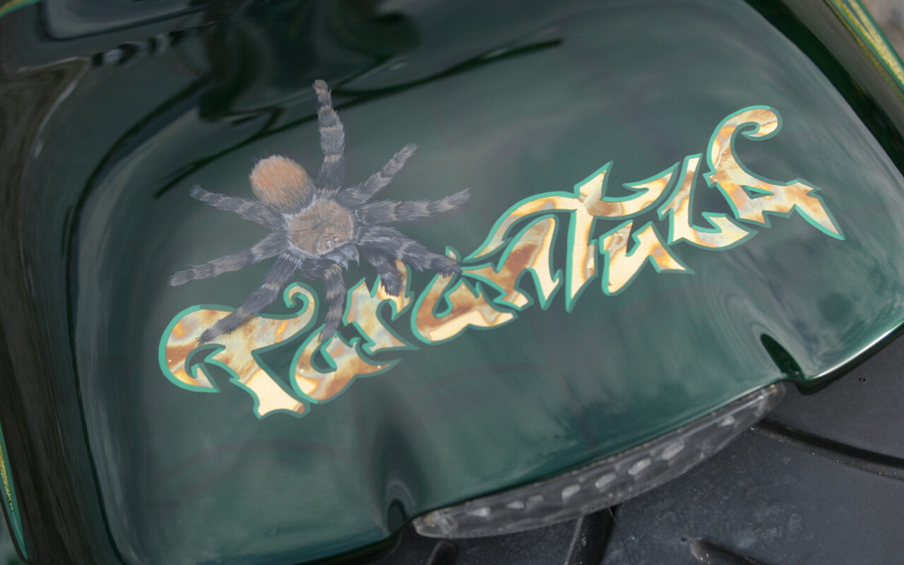 Tarantula Bike TARANTULA – Erbacher Bikes